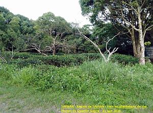 02 Taiwan- Region de Tainan 038